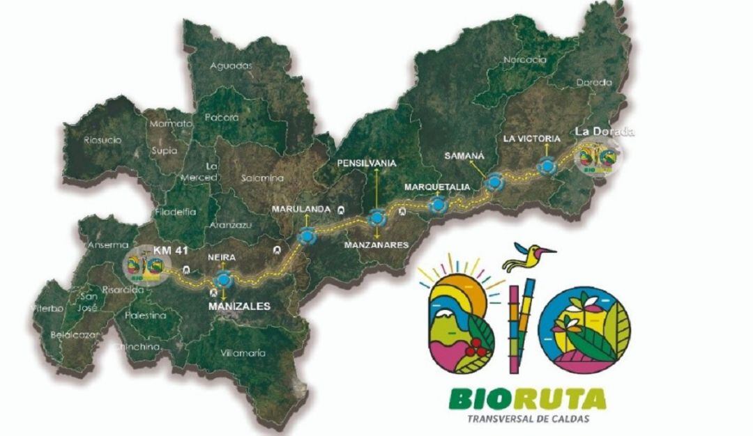 Proyecto Bioruta Transversal de Caldas