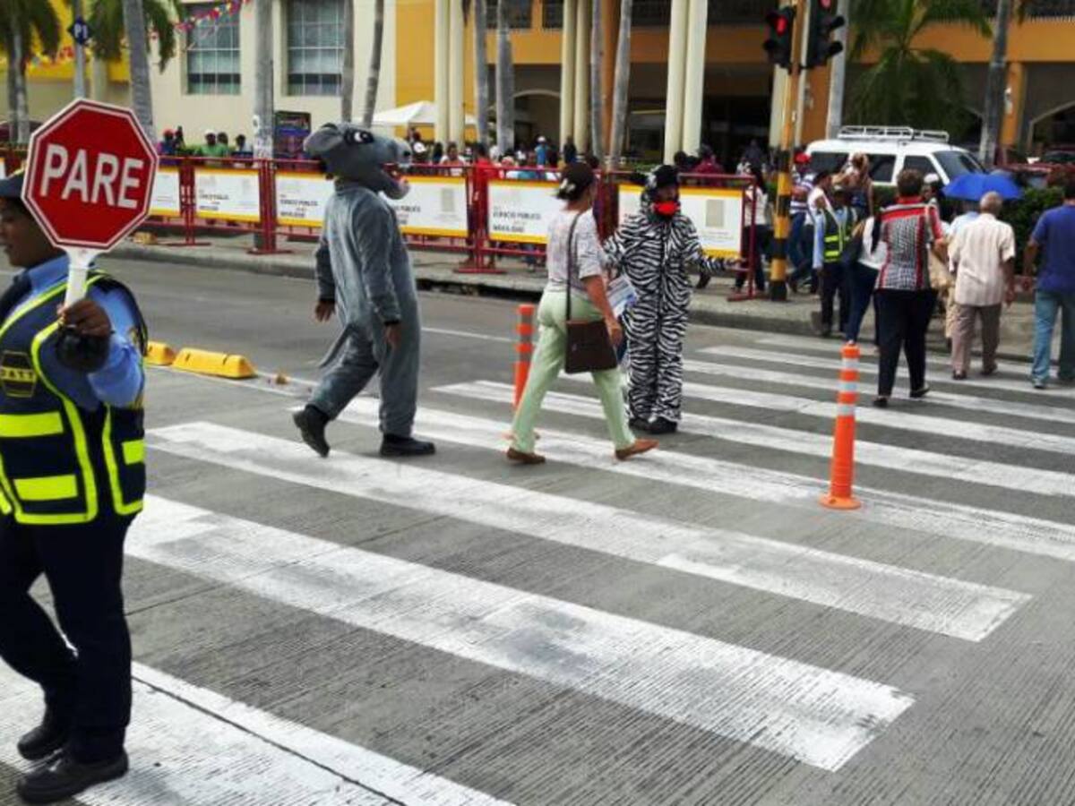 Retoman campaña para uso de cebras en Cartagena