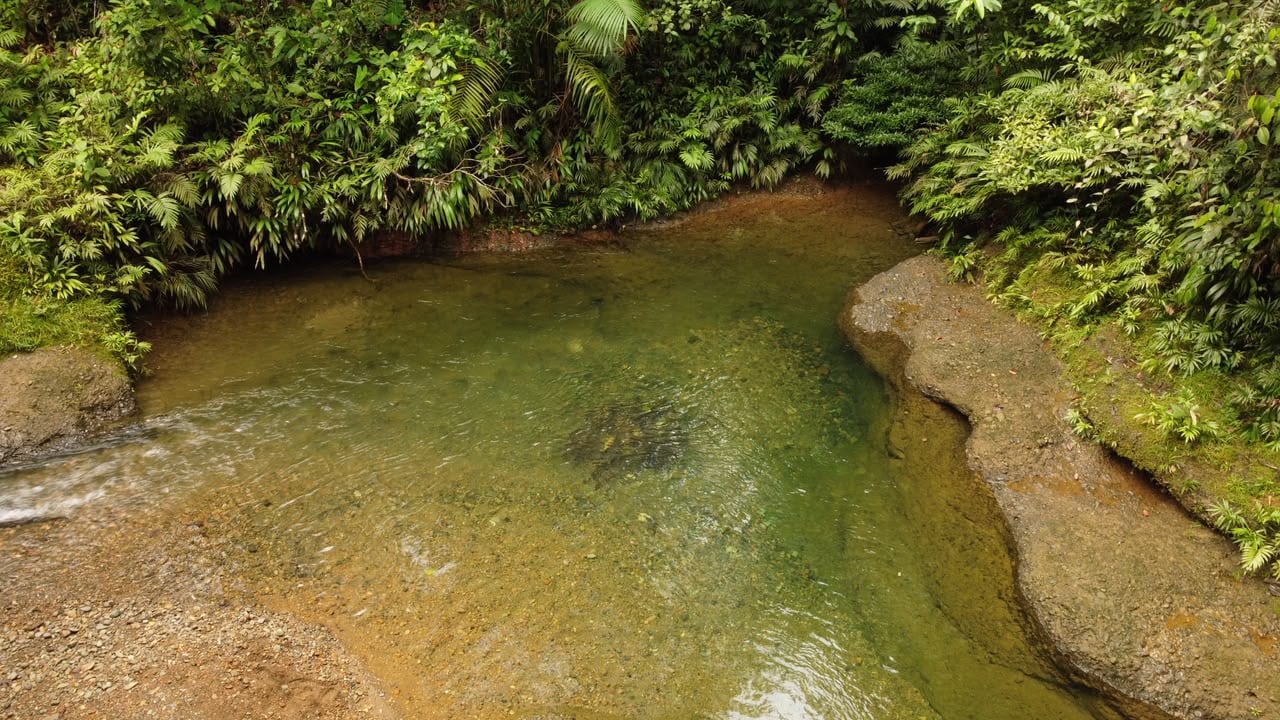 Áreas protegidas en el Valle del Cauca / Foto: CVC