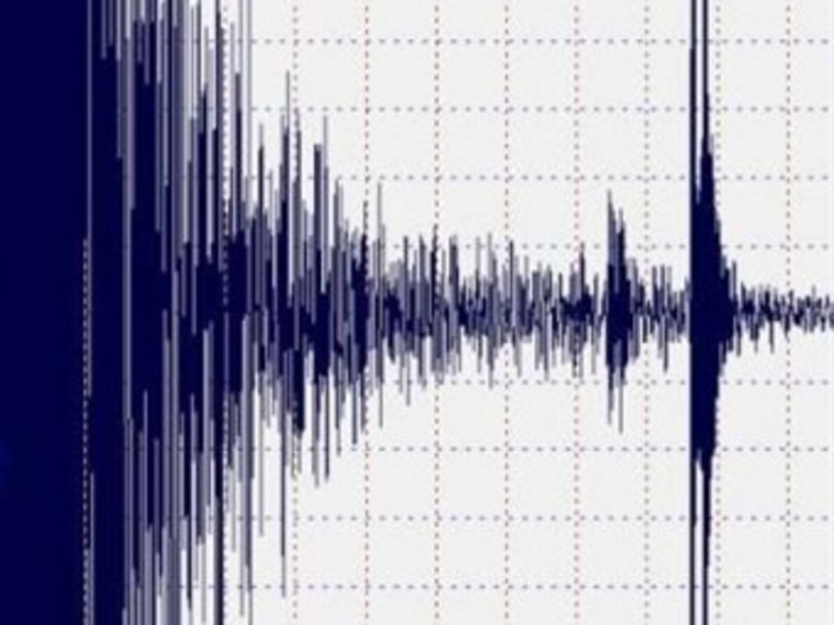 Temblor de 4,6 grados Richter sacudió el occidente del país