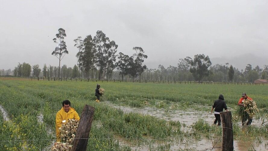 Las fuertes lluvias de las últimas semanas han dejado grandes afectaciones en viviendas, vías y cultivos en el departamento de Boyacá / Foto: Colprensa