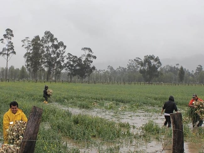 Recomendaciones y preparaciones de la Sec. de Agricultura de Boyacá ante temporada de lluvias
