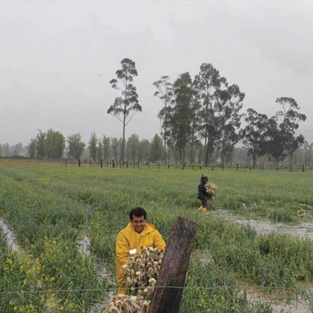Recomendaciones y preparaciones de la Sec. de Agricultura de Boyacá ante temporada de lluvias