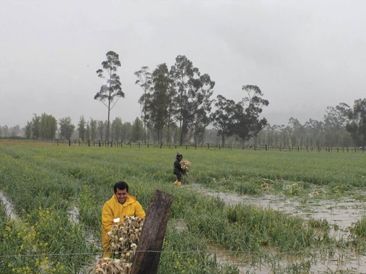 17 municipios en Boyacá se declararon en calamidad pública por causa del invierno