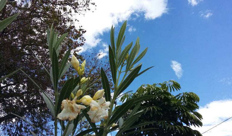 Todos los días escuche 1150AM Las noticias de Armenia y el Quindío