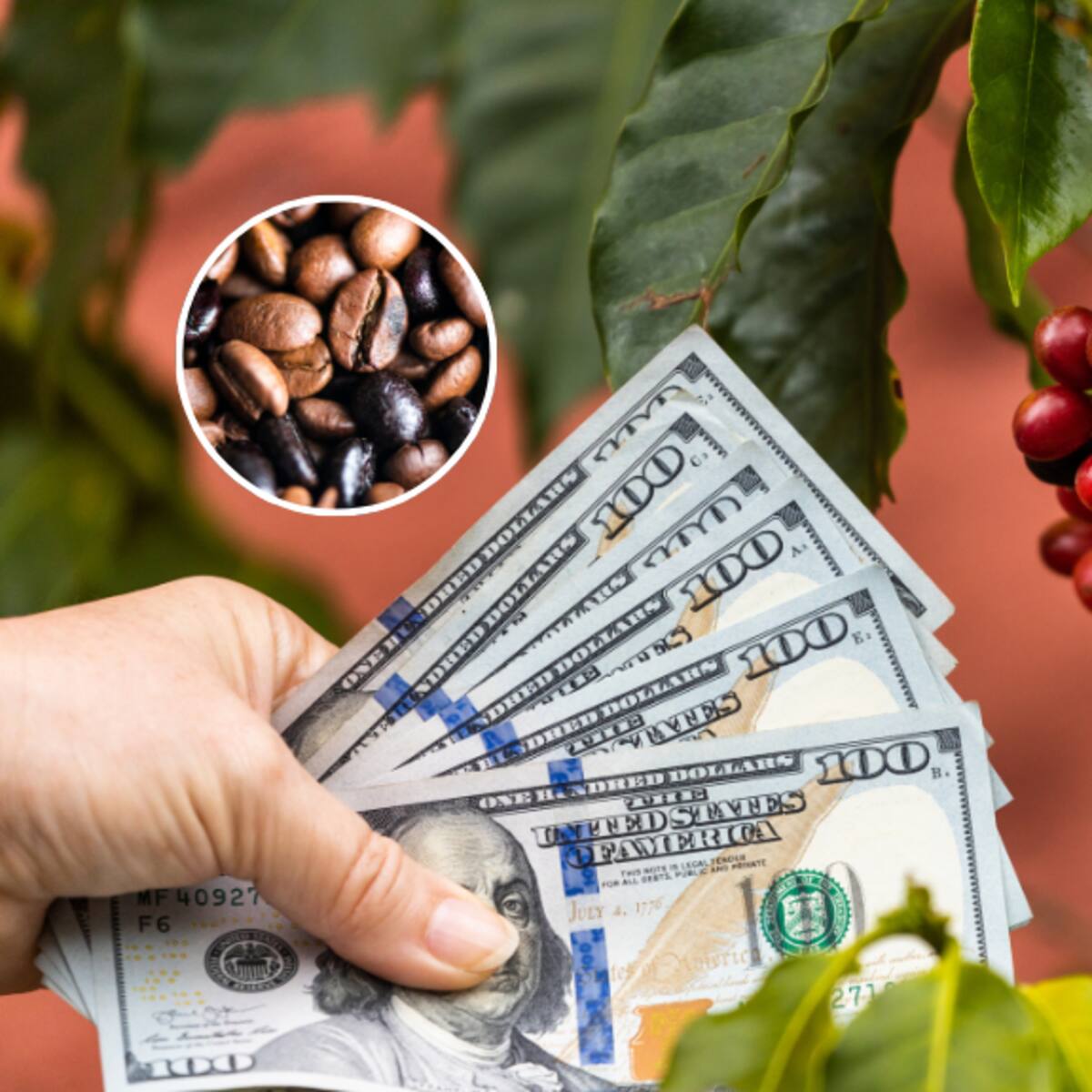 9 de agosto: precio del café HOY en dólares, ¿seguirá subiendo? Análisis de expertos