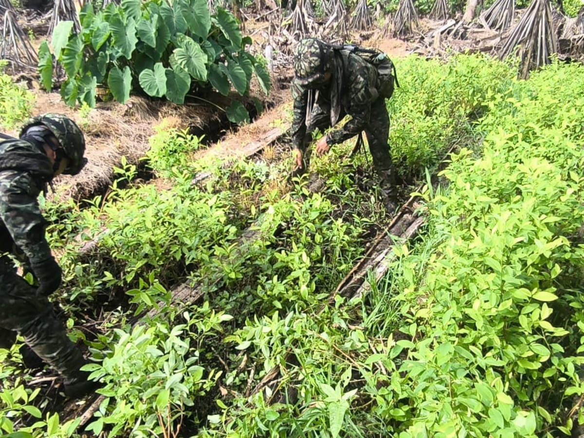 Millonario golpe a las estructuras de Iván Mordisco en Nariño.