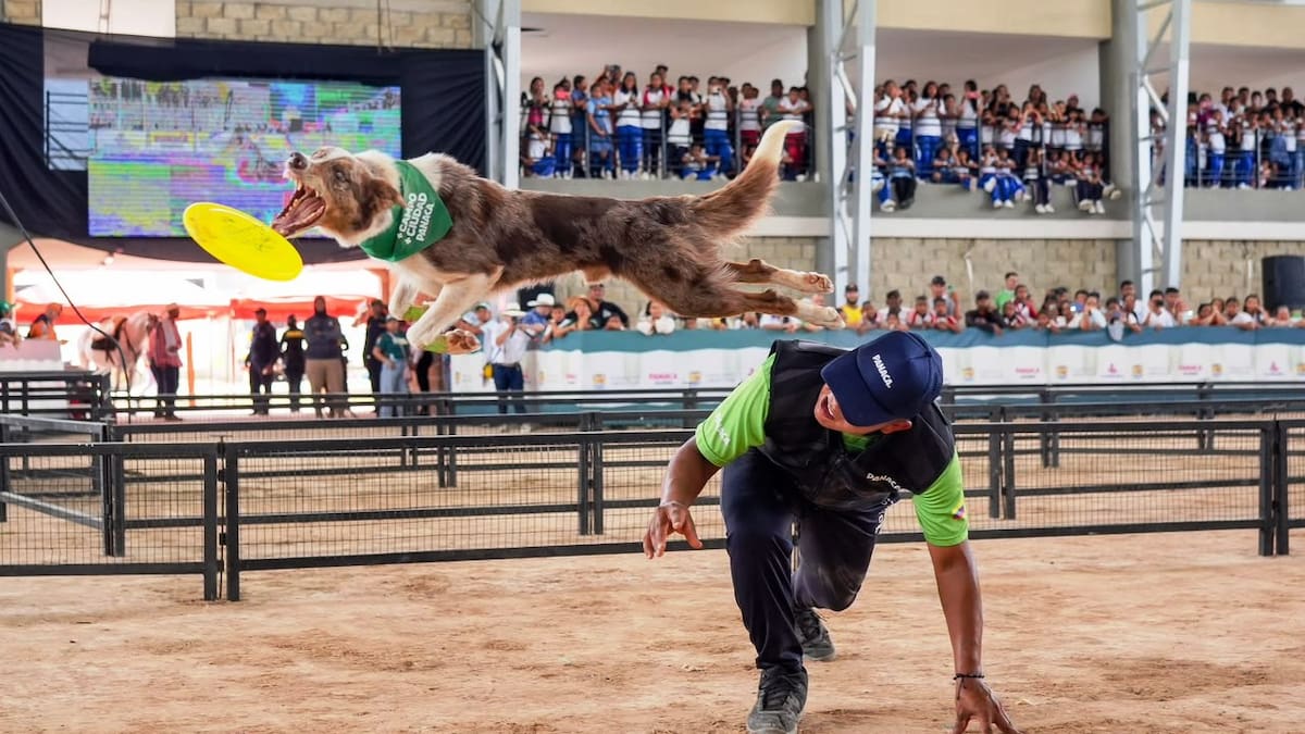 Panaca Viajero superó todas las expectativas y reunió a más de 50.000 asistentes