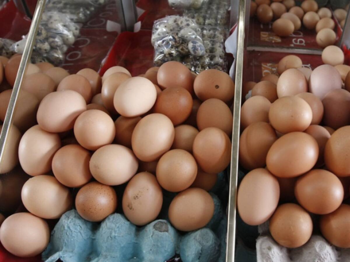 Consumo de huevo alcanza cifra record en el primer trimestre