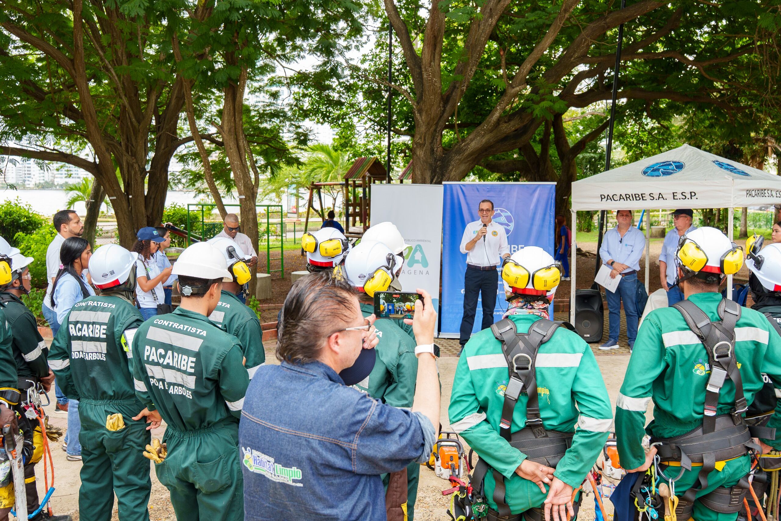 Distrito, EPA Cartagena y Pacaribe lanzan plan de actualización de catastro del arbolado urbano de la ciudad