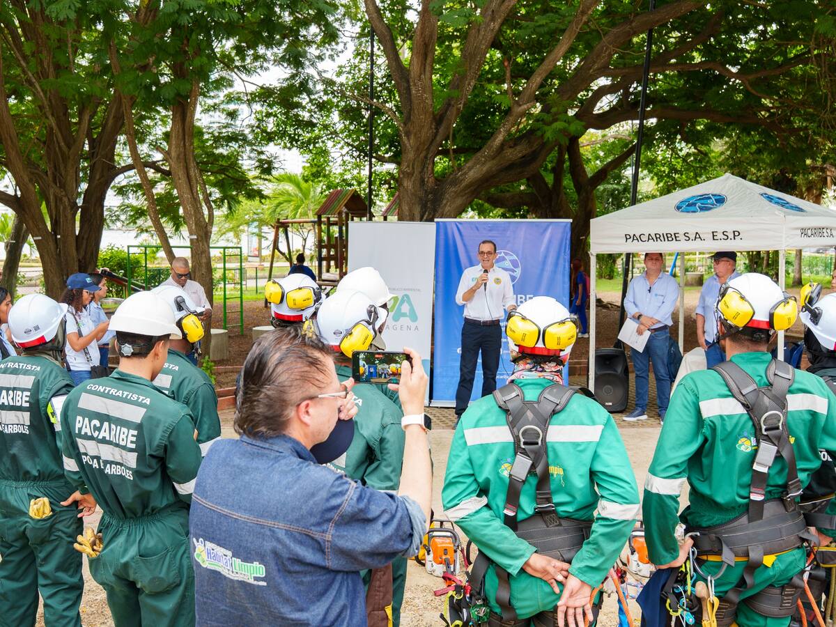 Distrito, EPA Cartagena y Pacaribe lanzan plan de actualización de catastro del arbolado urbano