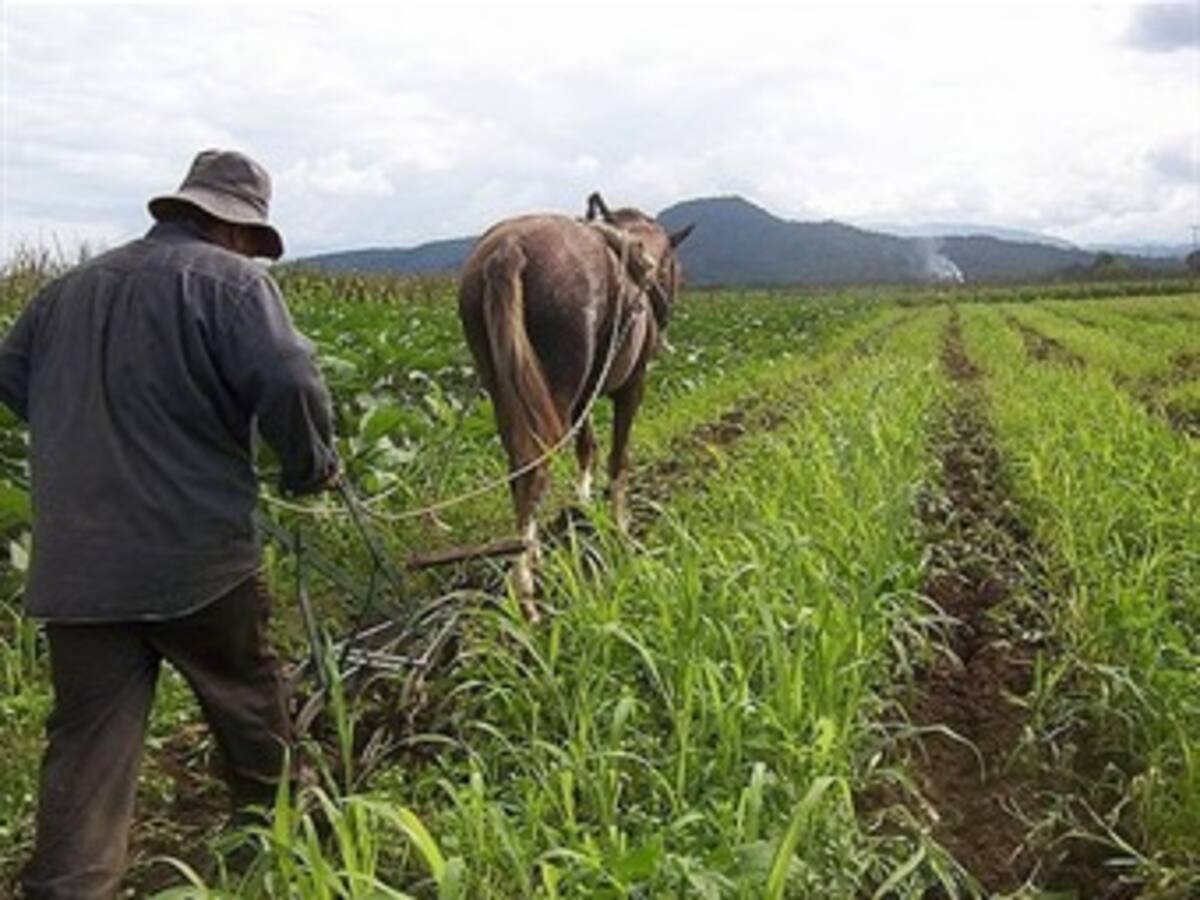 Así haya seguridad, no es fácil devolver la tierra a las víctimas: Gobierno