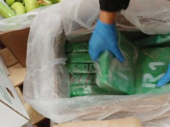 Dura ofensiva contra el narcotráfico en Cauca