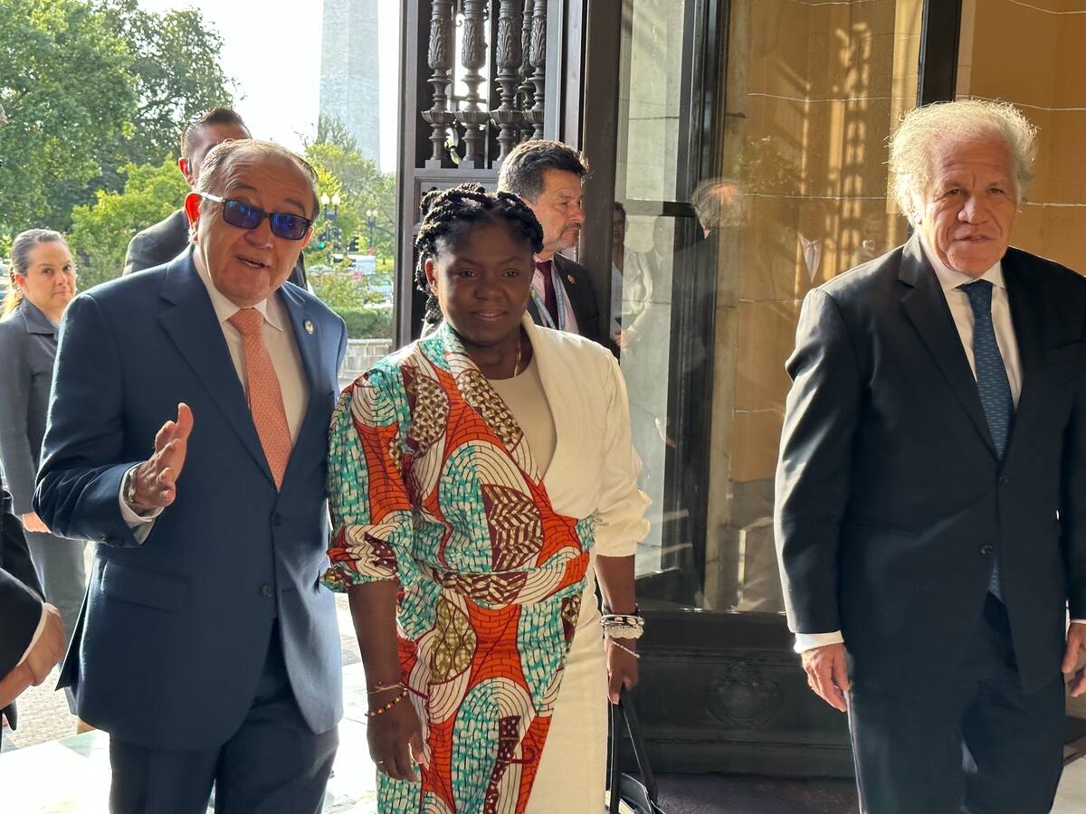 Vicepresidenta pide acompañamiento a la OEA para la búsqueda de paz en Colombia