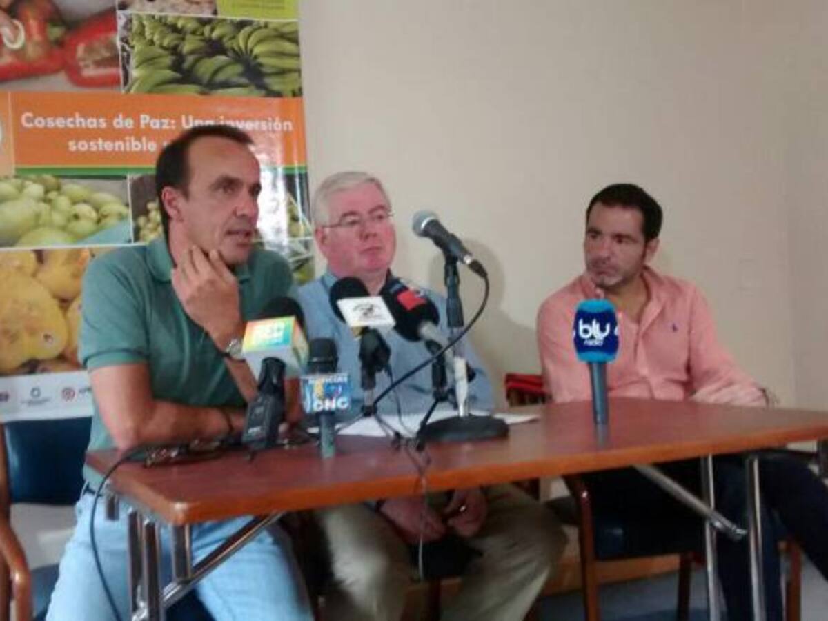 Ningún país que entra en un proceso de paz quiere retornar a la guerra asegura en Cali delegado de la UE para el proceso de paz
