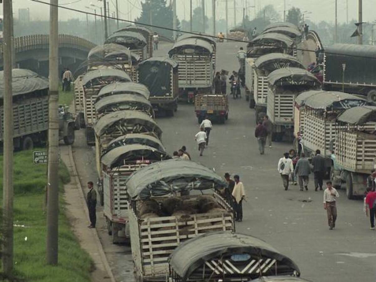 A pesar del paro camionero ingresaron más de 1.000 vehículos a Corabastos
