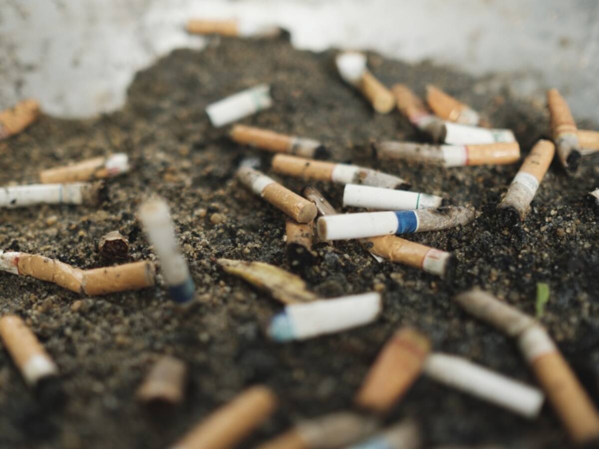 Estudiante transforma colillas de cigarrillo en papel ecológico