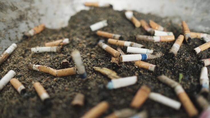 Estudiante transforma colillas de cigarrillo en papel ecológico