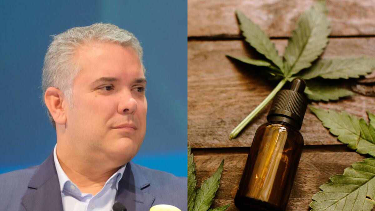 Han aplaudido las normas que hemos emitido: Duque sobre industria del cannabis