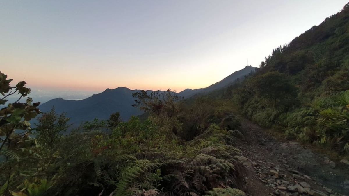 Duro enfrentamiento entre Pachencas y Clan del Golfo en la Sierra