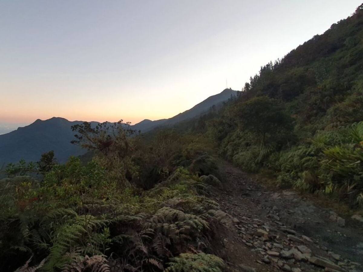 Duro enfrentamiento entre Pachencas y Clan del Golfo en la Sierra