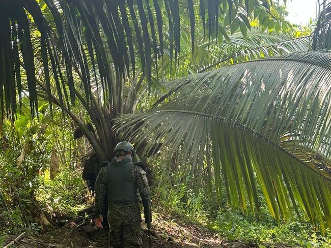 Frustran atentado en ccontra de torres de energía en Tumaco. | Foto: FTCH