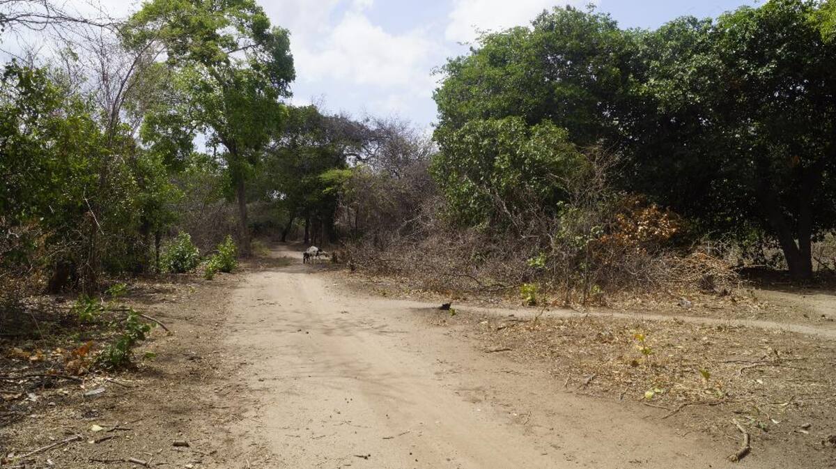 Recorrido de Caracol Radio por las zonas que aguantan sed. Fotos de Luis Enrique Rodríguez