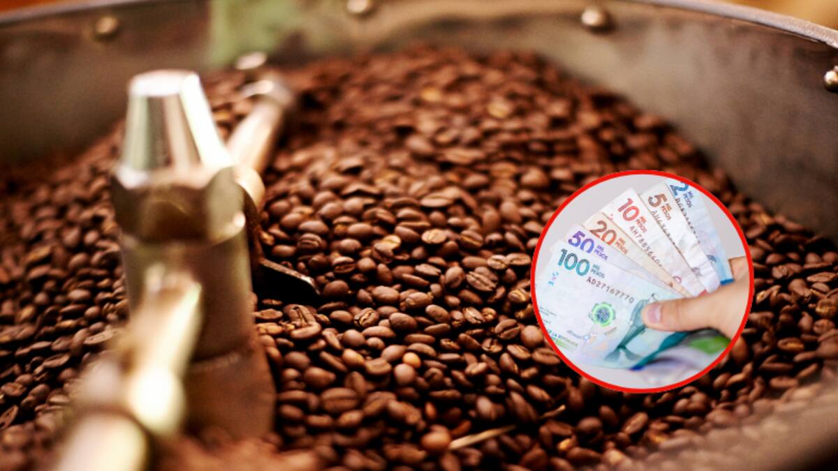 ¿Sigue subiendo? Precio café HOY, 26 de agosto, según Federación Nacional de Cafeteros