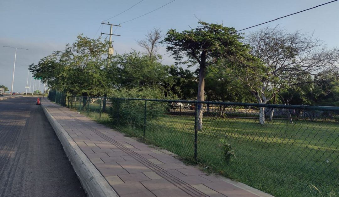 El cable se encontraba en plena vía pública del Parque de la Marina. Otro hombre resultó lesionado