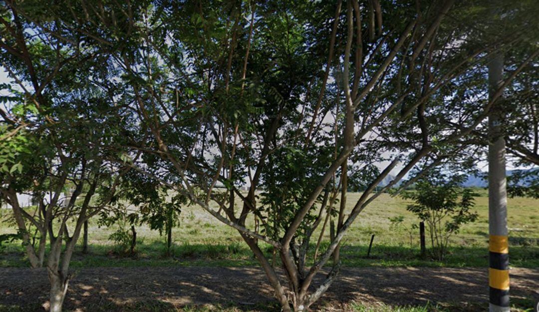 Sector de Cauchitos en Ibagué 