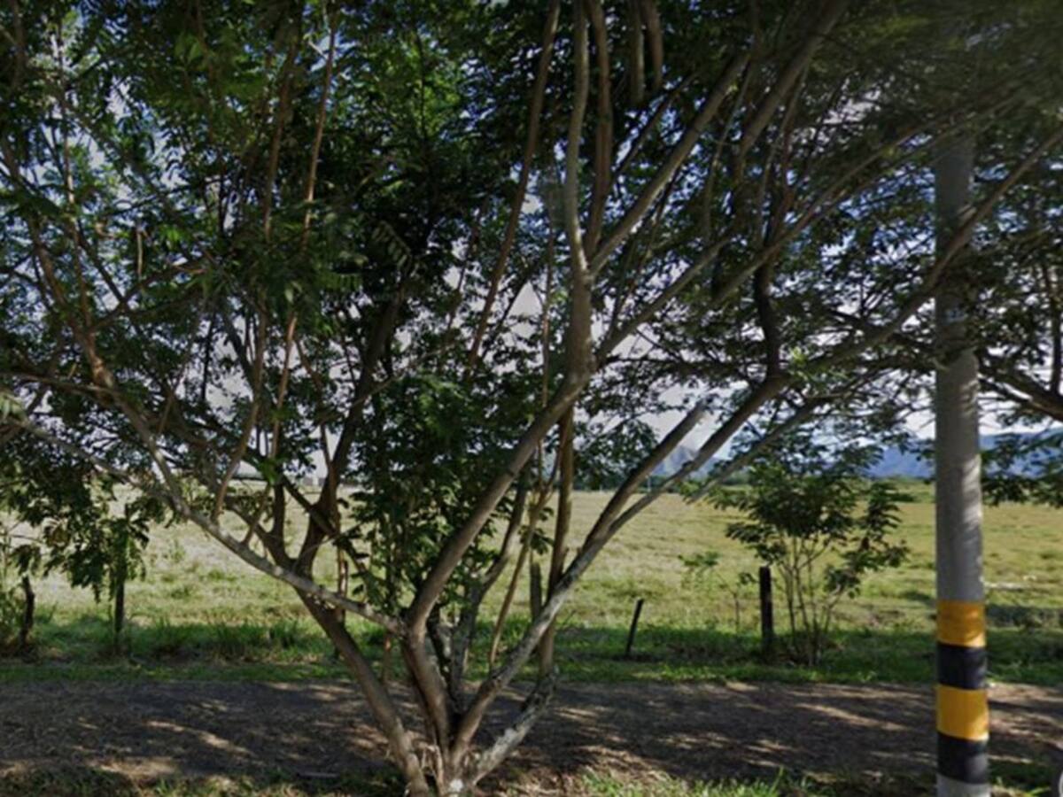 Tres profesores fueron víctimas de secuestro en la zona rural de Ibagué