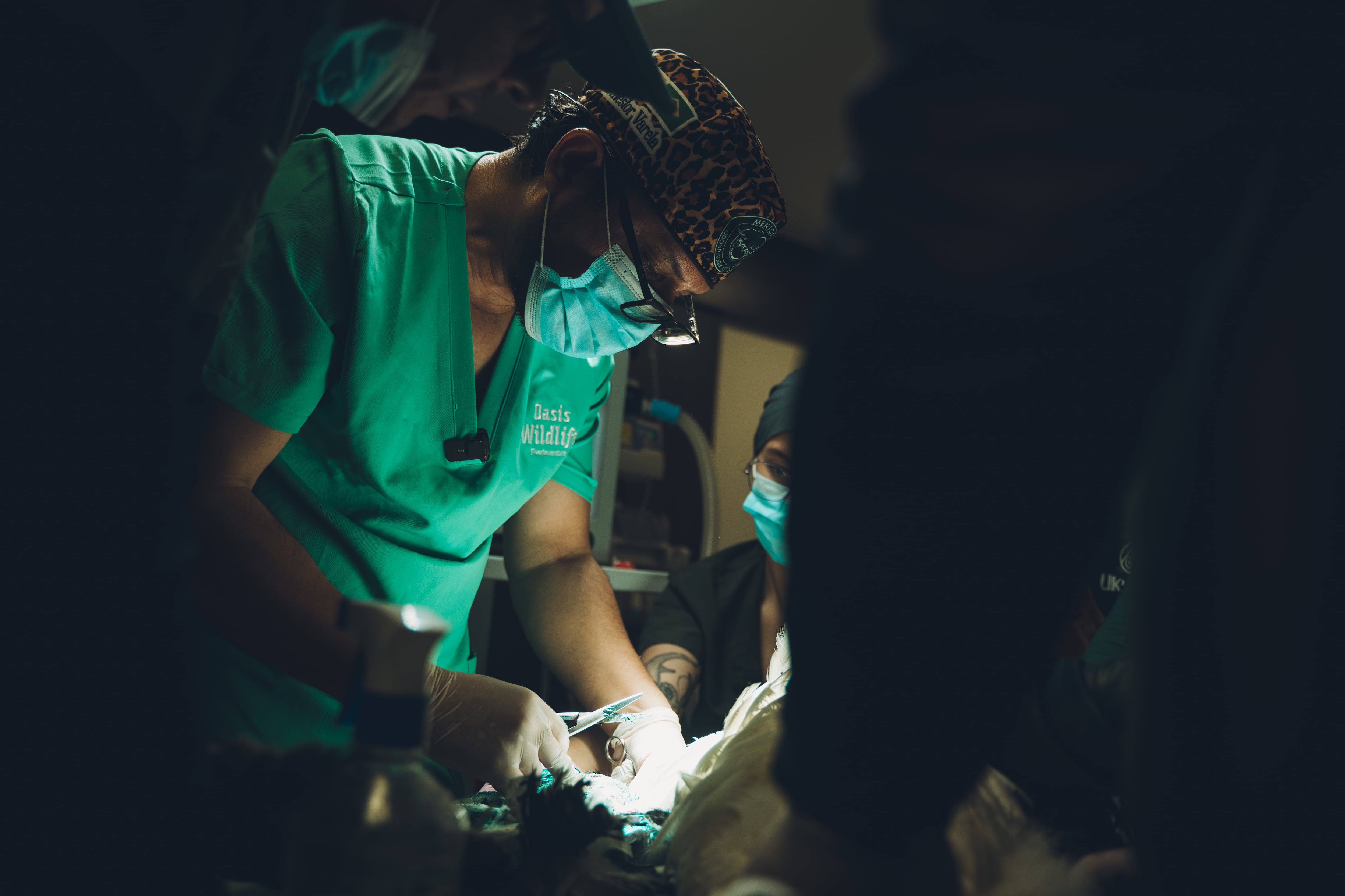 Foto: Bioparque Ukumarí de Pereira