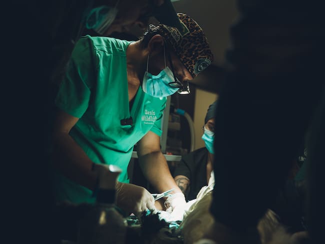 Foto: Bioparque Ukumarí de Pereira