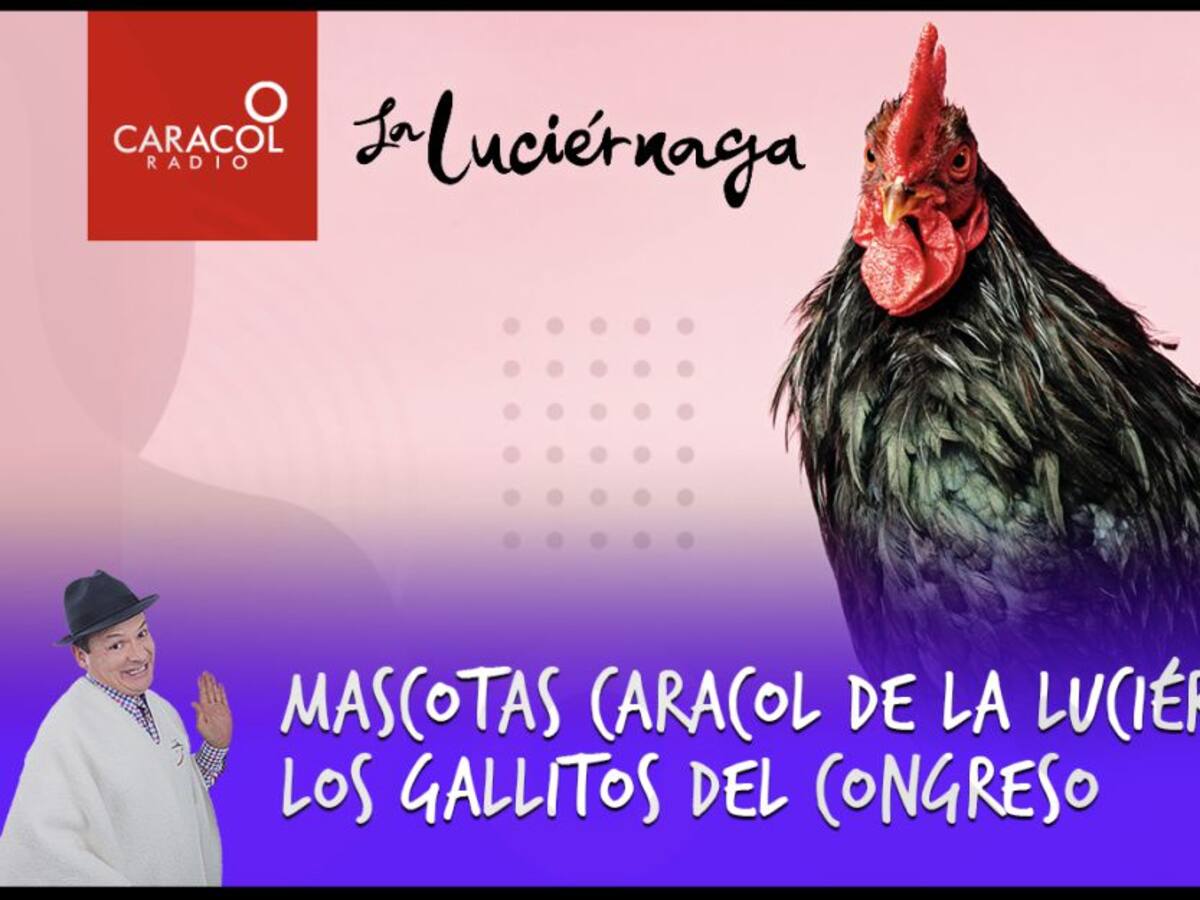 Mascotas Caracol de La Luciérnaga y los gallitos del Congreso