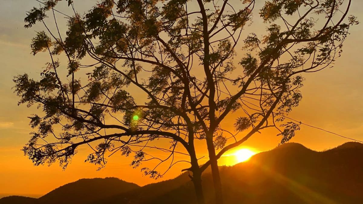 Autoridades de Santa Marta buscan detener los incendios forestales