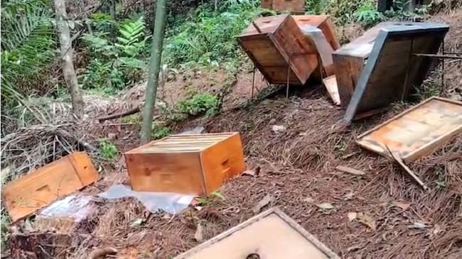 Daño a colmenas en San Rafael, Antioquia