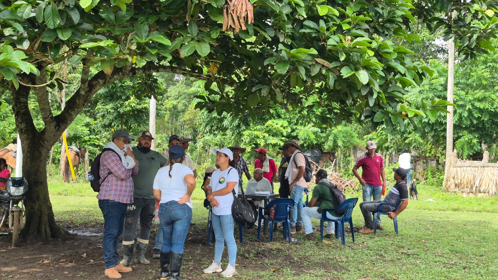 Restitución de tierras en Urabá antioqueño. Foto: Cortesía Fundación Forjandoo Futuros