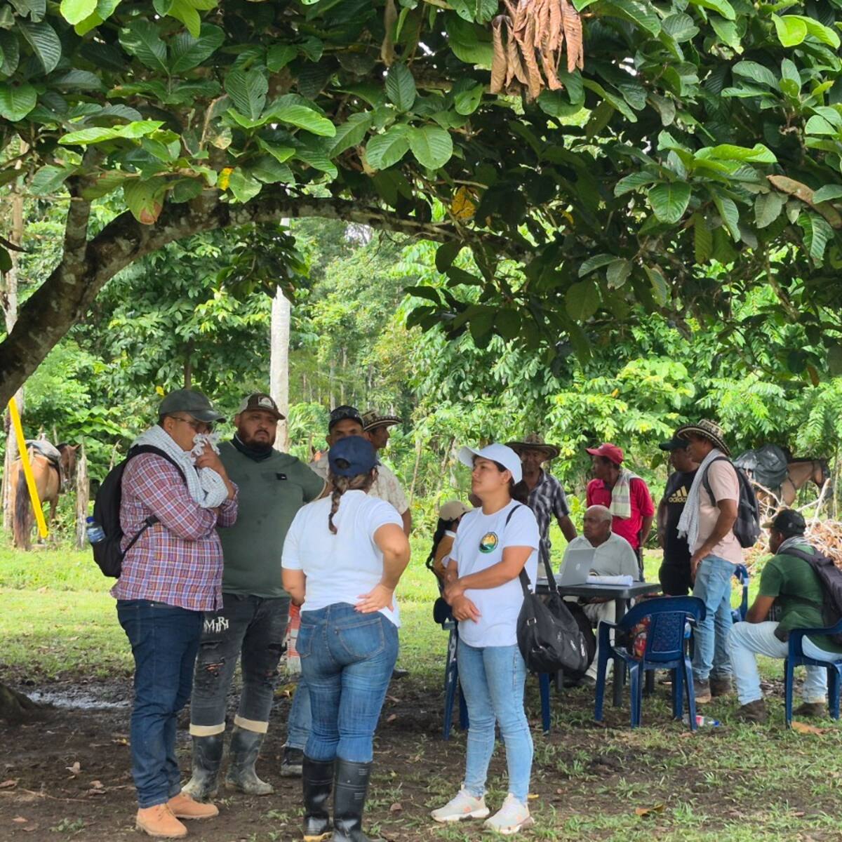 12 familias campesinas del Urabá antioqueño recuperan sus tierras después de 30 años