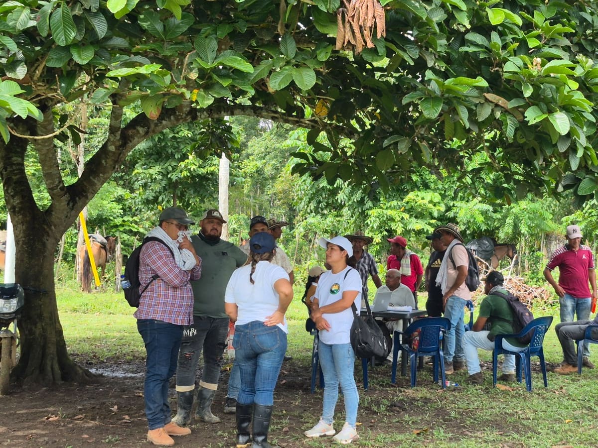 12 familias campesinas del Urabá antioqueño recuperan sus tierras después de 30 años