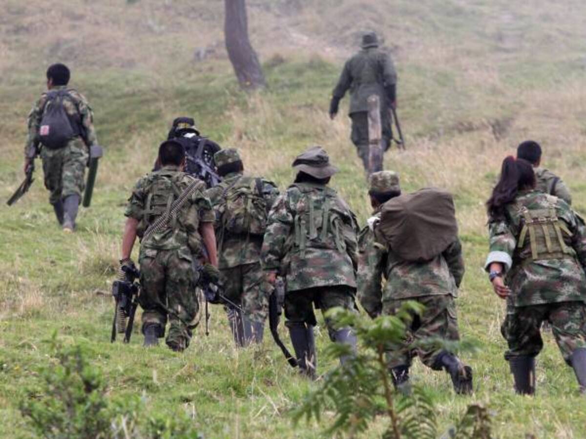 No han definido situación jurídica de menores de las Farc vinculados a delitos de lesa humanidad