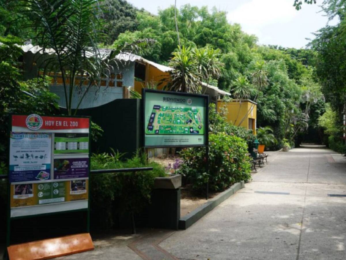 "Garantizados alimentos para animales del Zoo": Barranquilla Verde