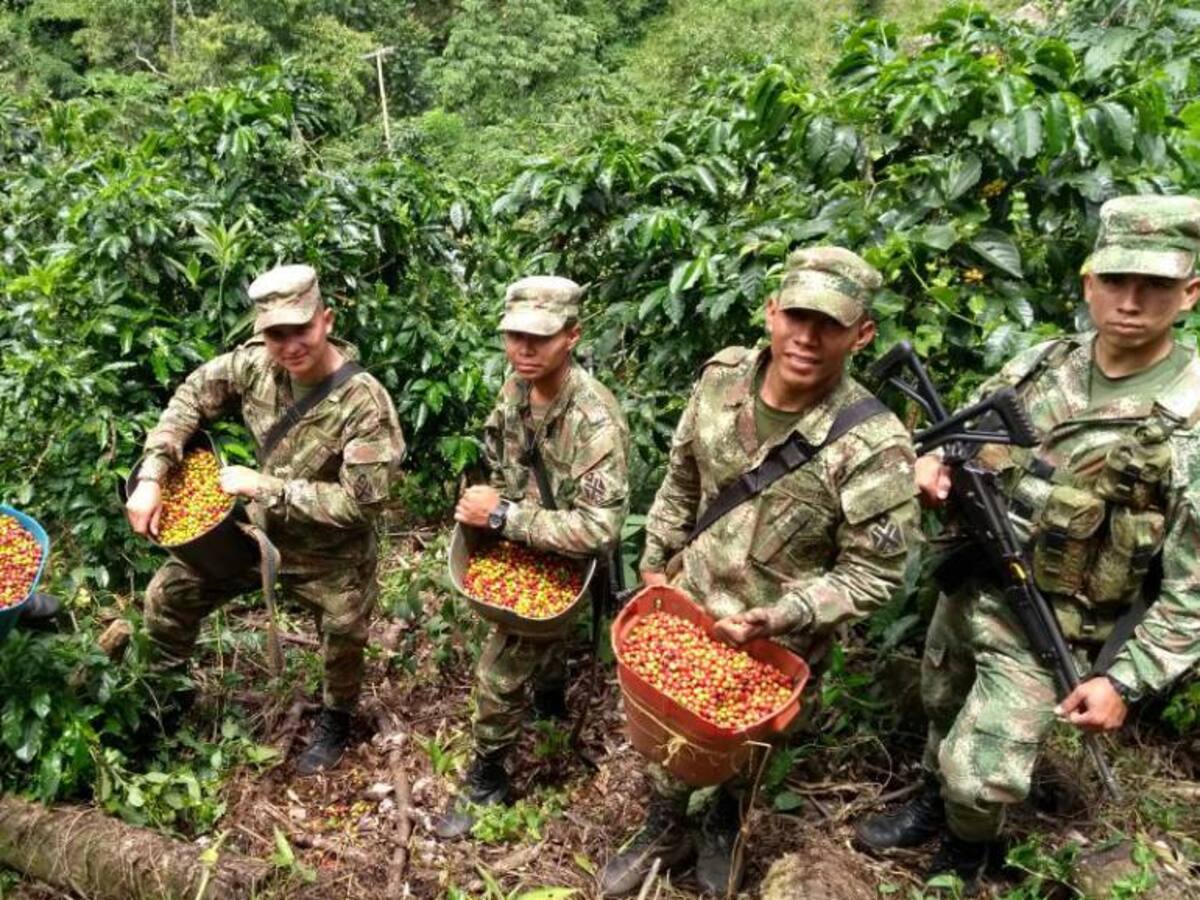El ejército hizo un operativo en Ituango, para recolectar café