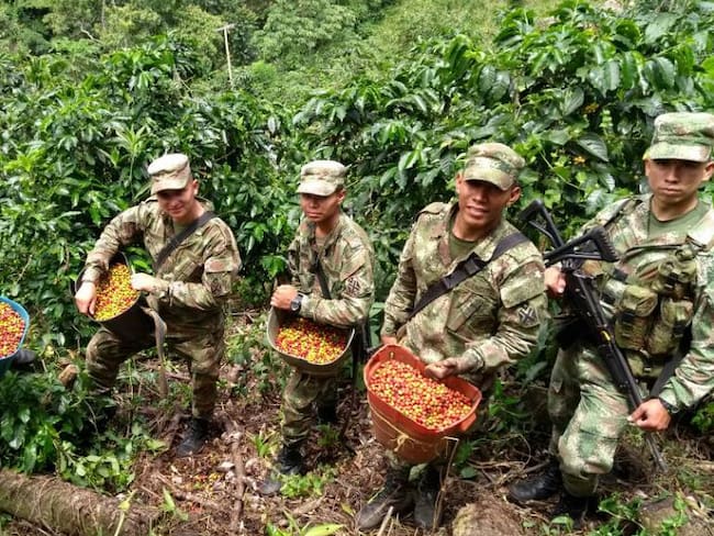 El ejército hizo un operativo en Ituango, para recolectar café