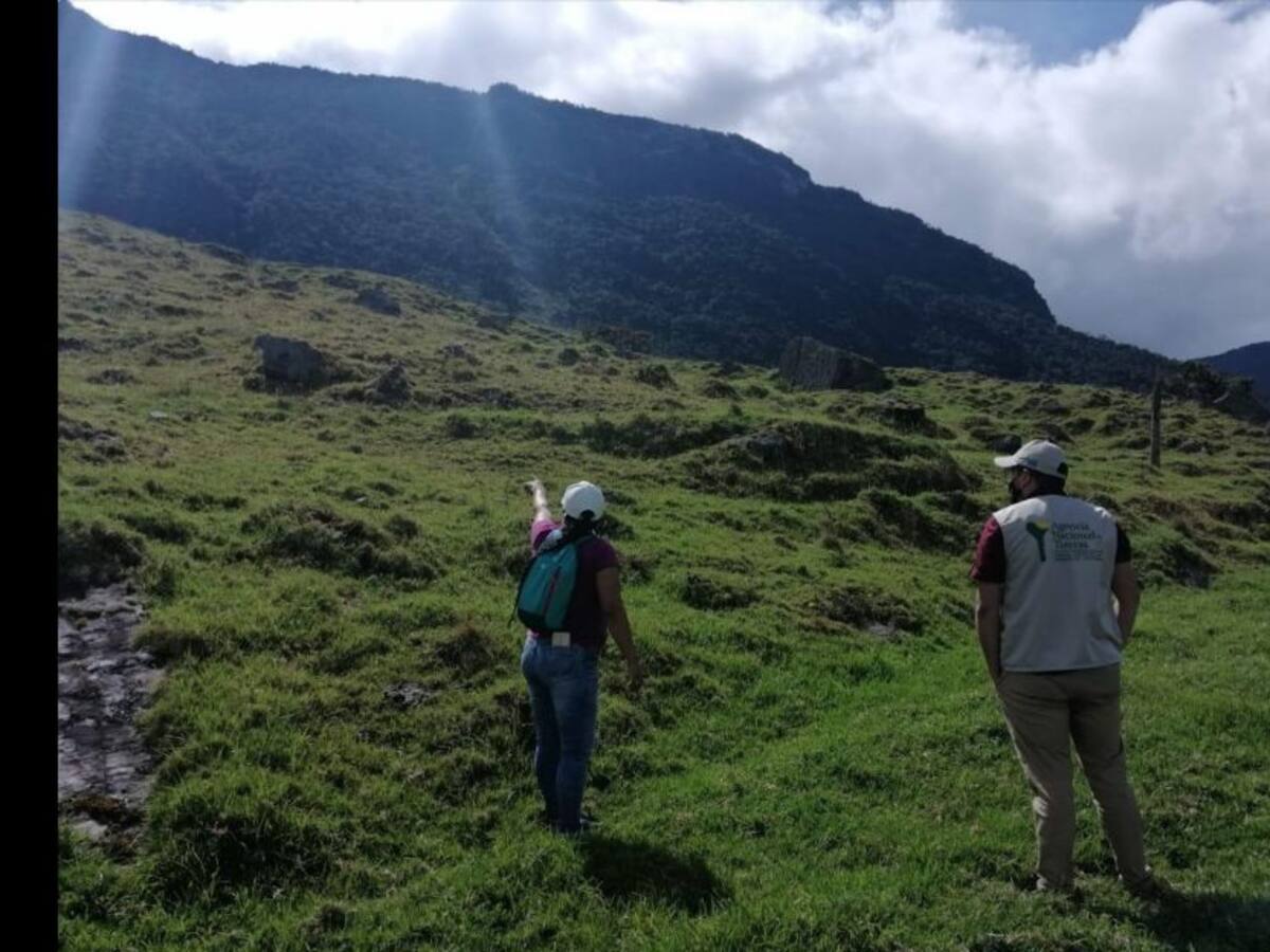 Agencia Nacional de Tierras denuncia estafas bajo su nombre a campesinos