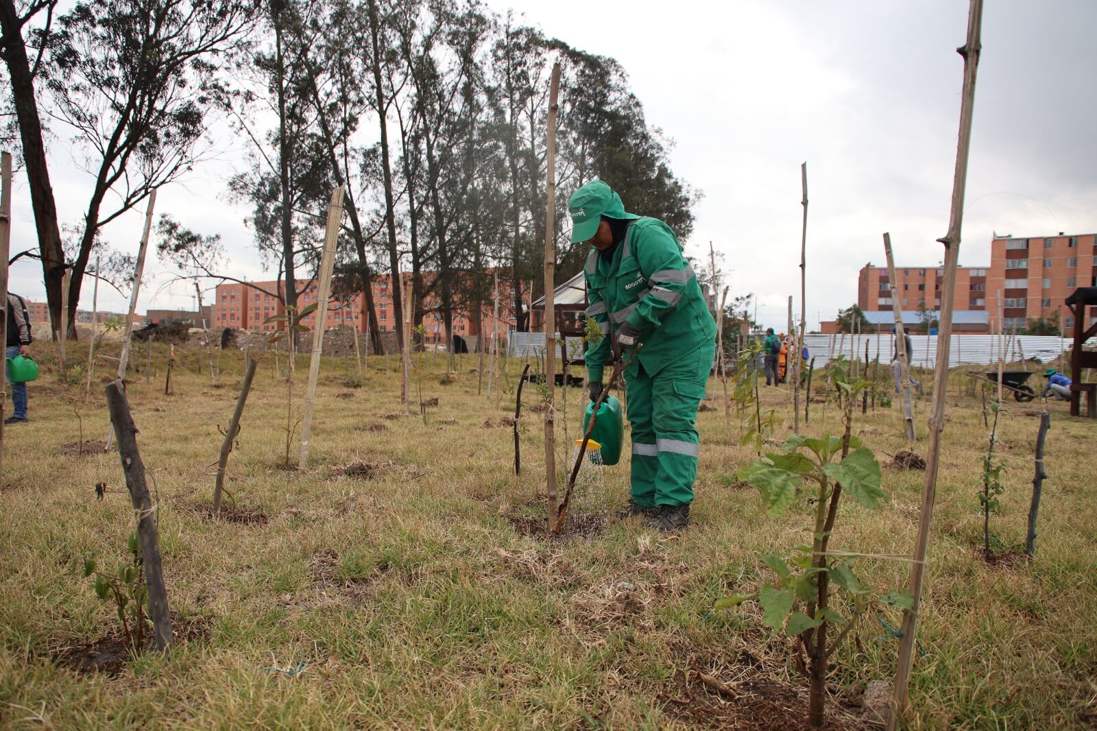 Bogotá se prepara para enfrentar la sequía: adapta el manejo de humedales. Foto: Secretaría de Ambiente.