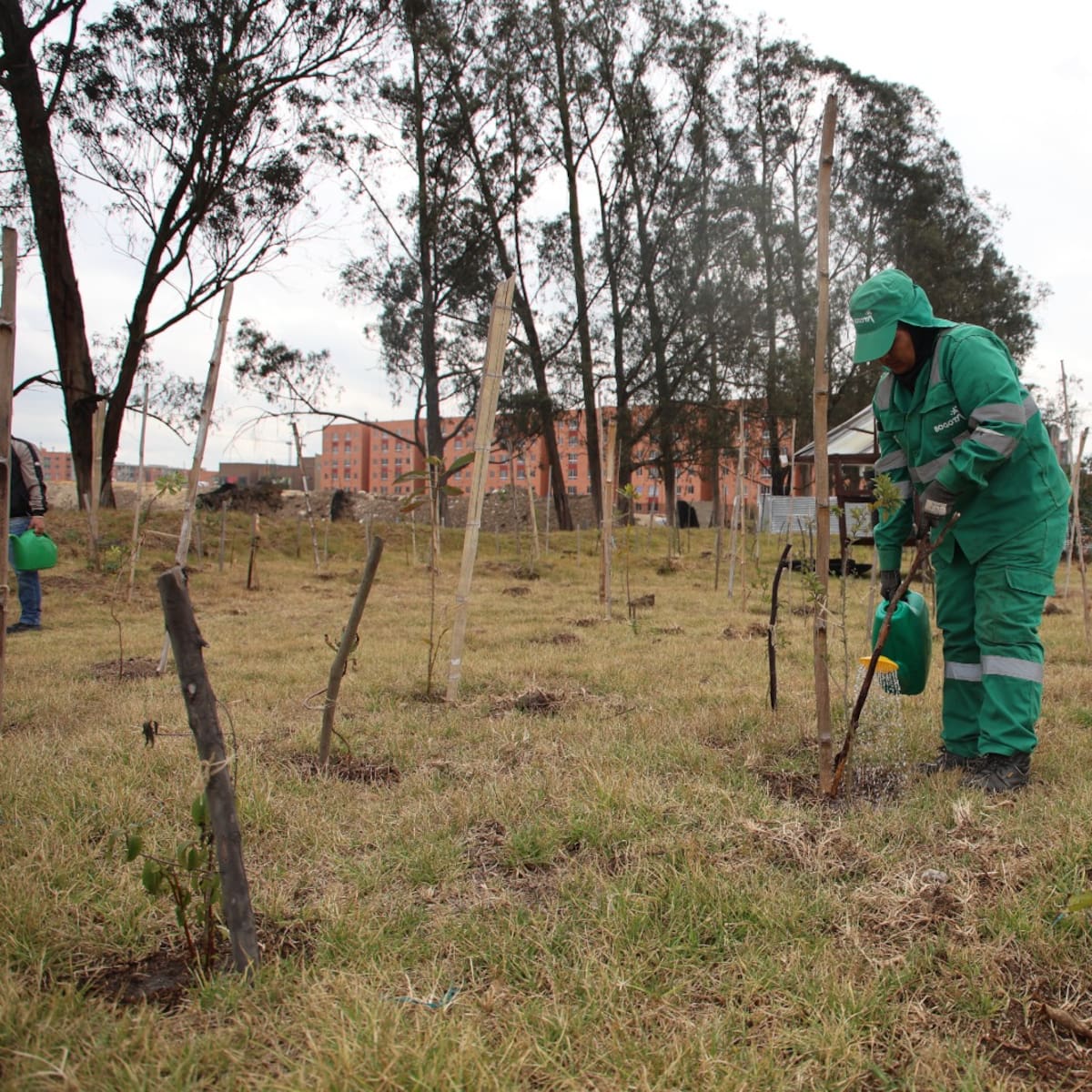 Bogotá se prepara para enfrentar la sequía: adapta el manejo de humedales