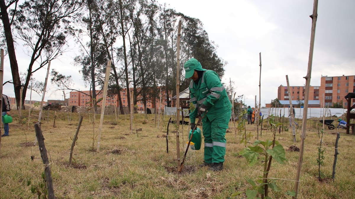 Bogotá se prepara para enfrentar la sequía: adapta el manejo de humedales