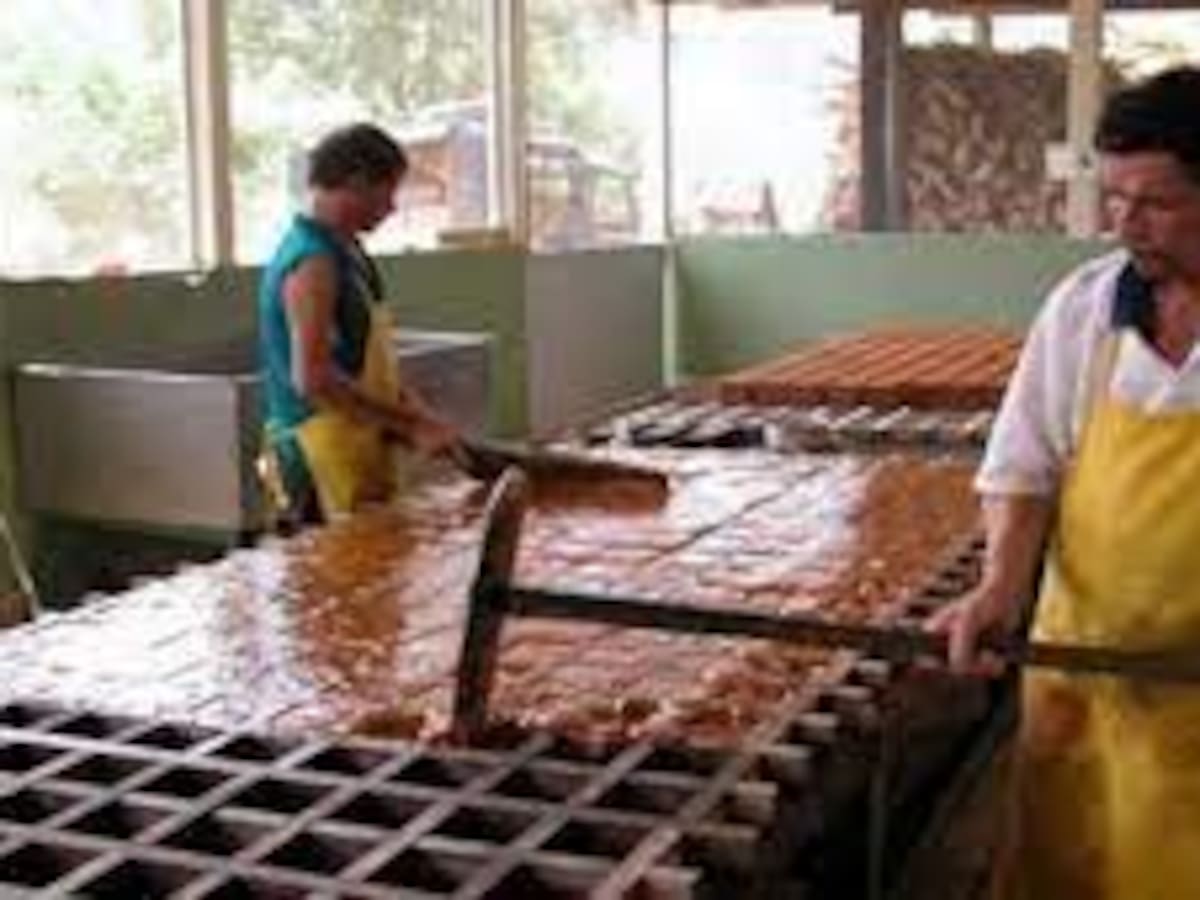 Superindustria negó petición de patentar la producción de panela