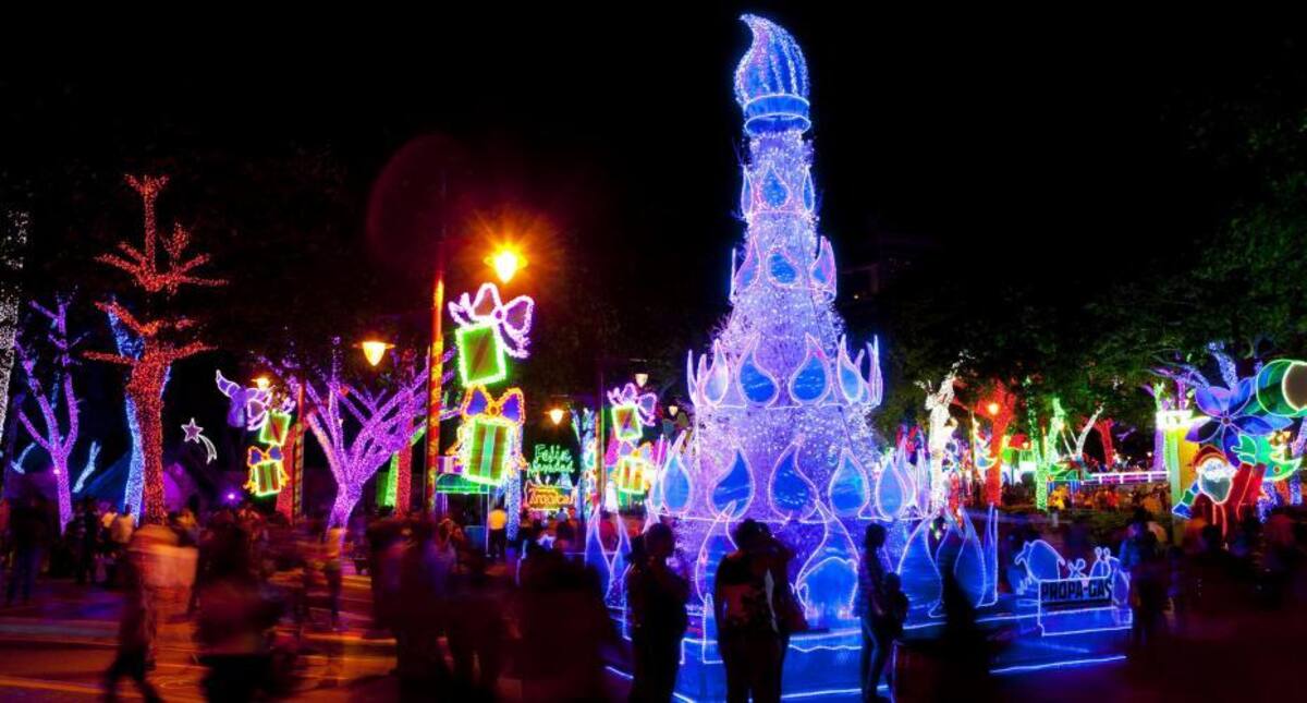 Árboles humanos, en los ríos y las ciudades más emblemáticas del mundo inundadas de luces y de la magia de la navidad. / República Dominicana.