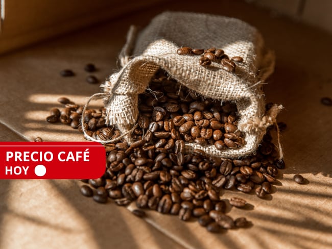 Precio del café HOY